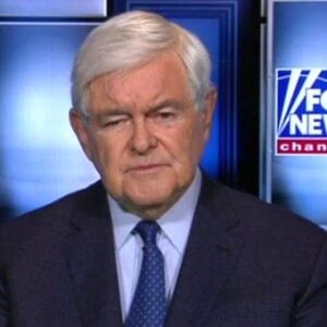 Newt Gingrich Image